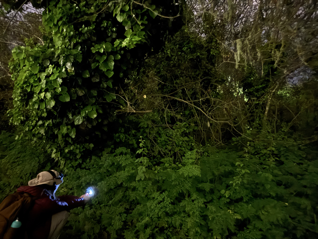 me recording frogs at the pond